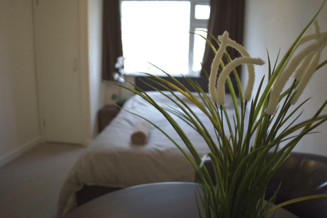 Home And A Stay Bristol Extérieur photo